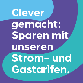 Clever sparen - mit Strom und Gas von der EVO